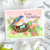 Honey Bee Stamps: Stamp Set, No Place Like Home