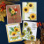 Spellbinders: BetterPress Press Plate, Sunflower Field