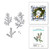 Spellbinders: Winter Evergreen Foliage and Ladybugs Etched Dies