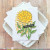 Waffle Flower: Stamp Set, Sketched Marigold