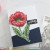 Waffle Flower: Stencil, Sketched Poppy Coloring