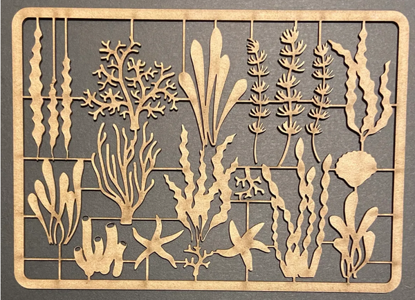 Southern Ridge Trading Co: Chipboard, Ocean Flora