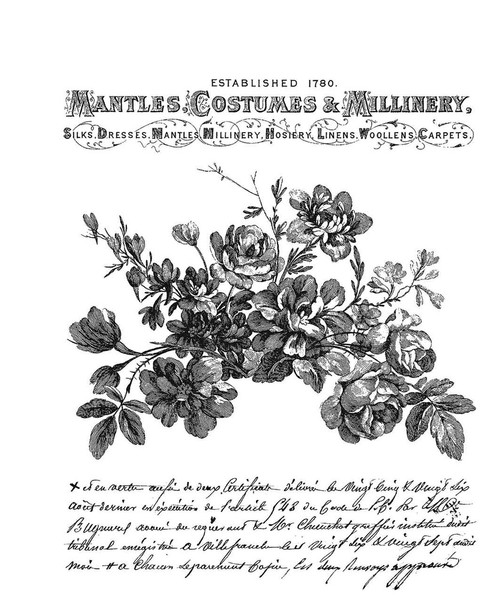 Tim Holtz: Cling Stamp, Exquisite