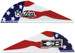 BOHNING BLAZER VANES TRUE COLOR 2" AMERICAN FLAG 100PK