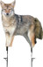MONTANA DECOY COYOTE SONG DOG