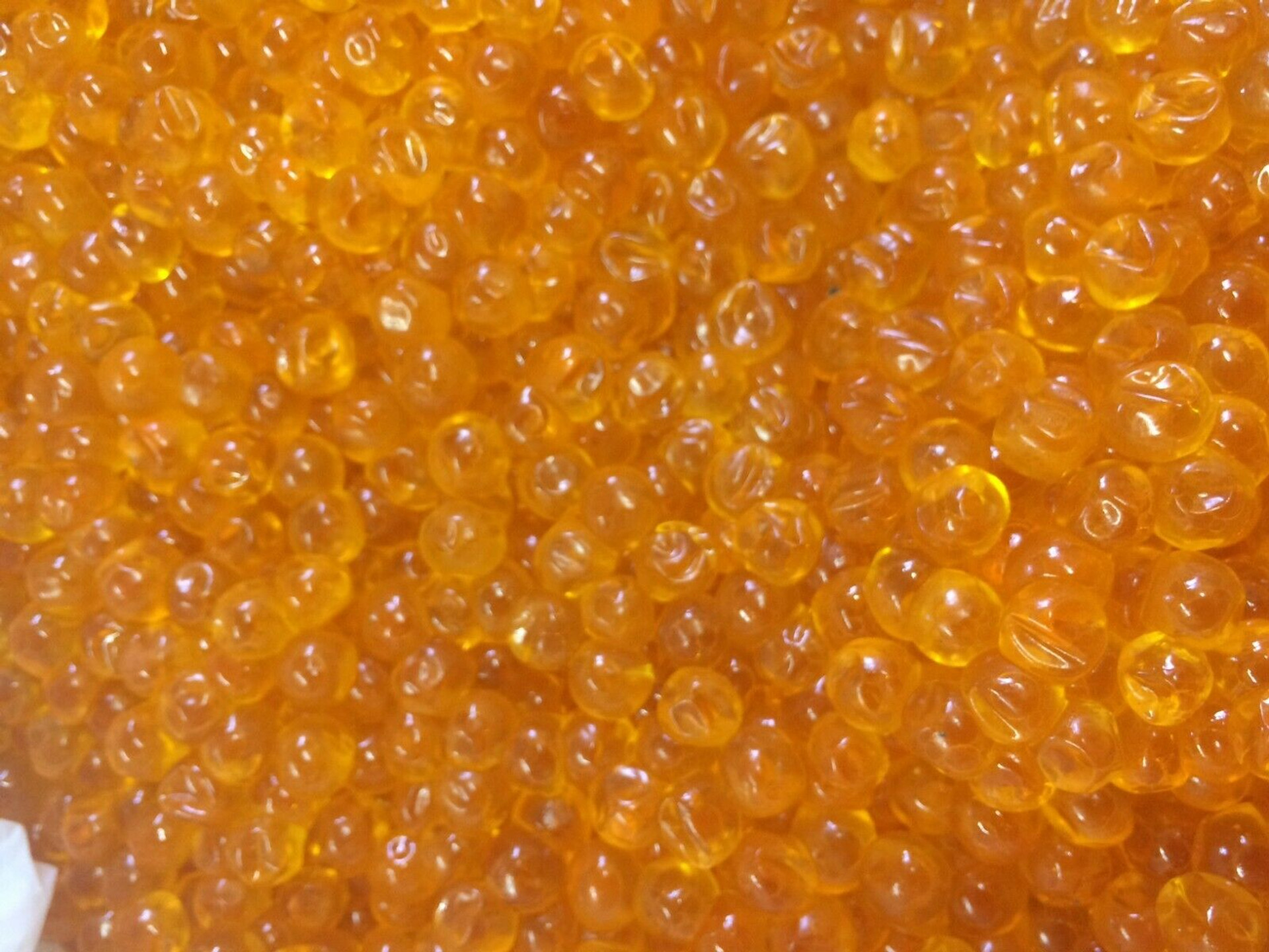 King Salmon Eggs