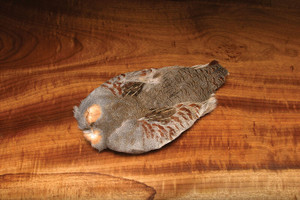 #1 Hungarian Partridge Skin Natural