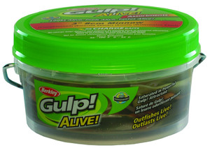 Gulp Alive Minnow 3" Small Bucket Assorted Gulp Alive Minnow 3" Small Bucket Assorted