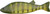 Bear Creek Spearing Decoy