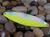 Finns Spoons 300 Series