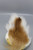 Wapsi Bucktail Large