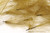 Hareline CDC 1 Gram Pack