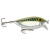 Brad's ThinFish