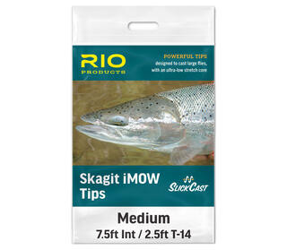 Rio Skagit iMOW Tips with Slick Cast