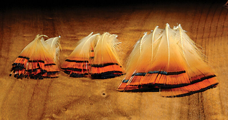 Golden Pheasant Tippet Pack