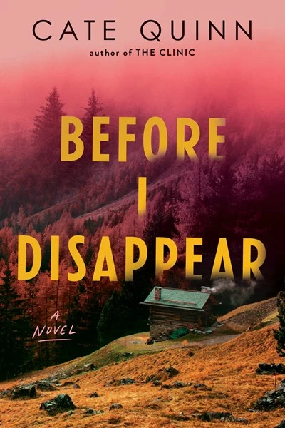 Before I Disappear: