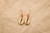 Cowrie Shell Earrings