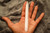 Selenite Wand
