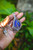 Sterling Silver Lapis Lazuli Necklace | Royalty, Honor, Power, Communication + Speaking One's Truth, Self - Confidence,  Wisdom + Good Judgement, Harmony | Choose Your Length