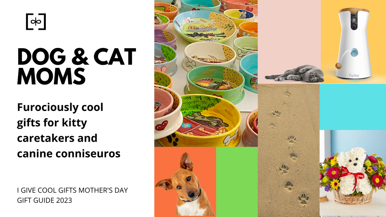 Dog & Cat Moms—I Give Cool Gifts 2023 Mother's Day Guide