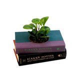 Custom Book Planter—Transform A Favorite Novel Into A Decorative Planter