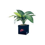 Sneaker Box Planter—Add This 3D Printed Sneaker Box To Your Decor
