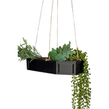 Hanging Coffin Planter—Put Your Favorite Indoor Plants To Rest In This Spooky Hanging Planter
