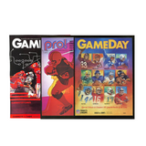 NFL Vintage Gameday Program—A Nostalgic Treasure Trove, Transporting Football Fans Back in Time with Its Retro Design and Historic Content