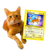 Pet Pokémon Card—Tranform Your Furry Friend Into a Pokedexable Pocket Monster