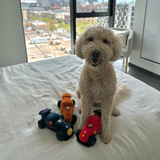 Formula 1 Parody Dog Toy Car—Get Your Paws on a Supercharged F1-Inspired Dog Toy For Redball, Mclawren and Furrari Supporters