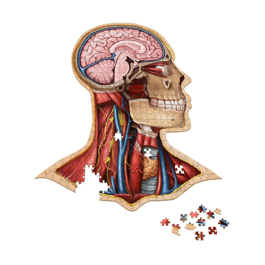 Dr. Livingston's Human Anatomy Jigsaw Puzzles