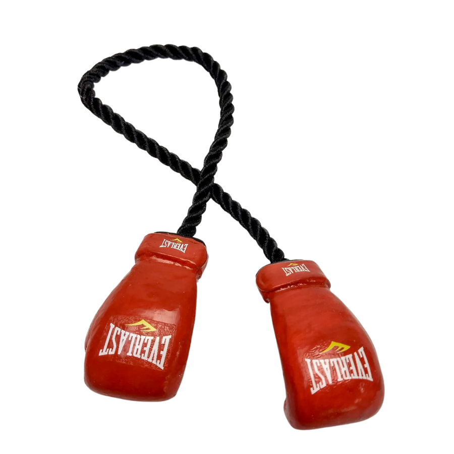 Personalized Boxing Gloves Rear View Mirror Decor—The Perfect Gift For a Southpaw Heading South Bound