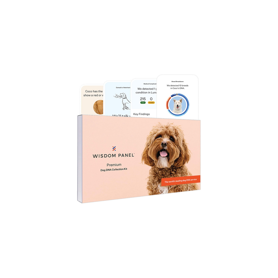 Wisdom Panel Premium Dog DNA Test Kit—The Most Comprehensive Dog DNA Test for 200+ Health Tests