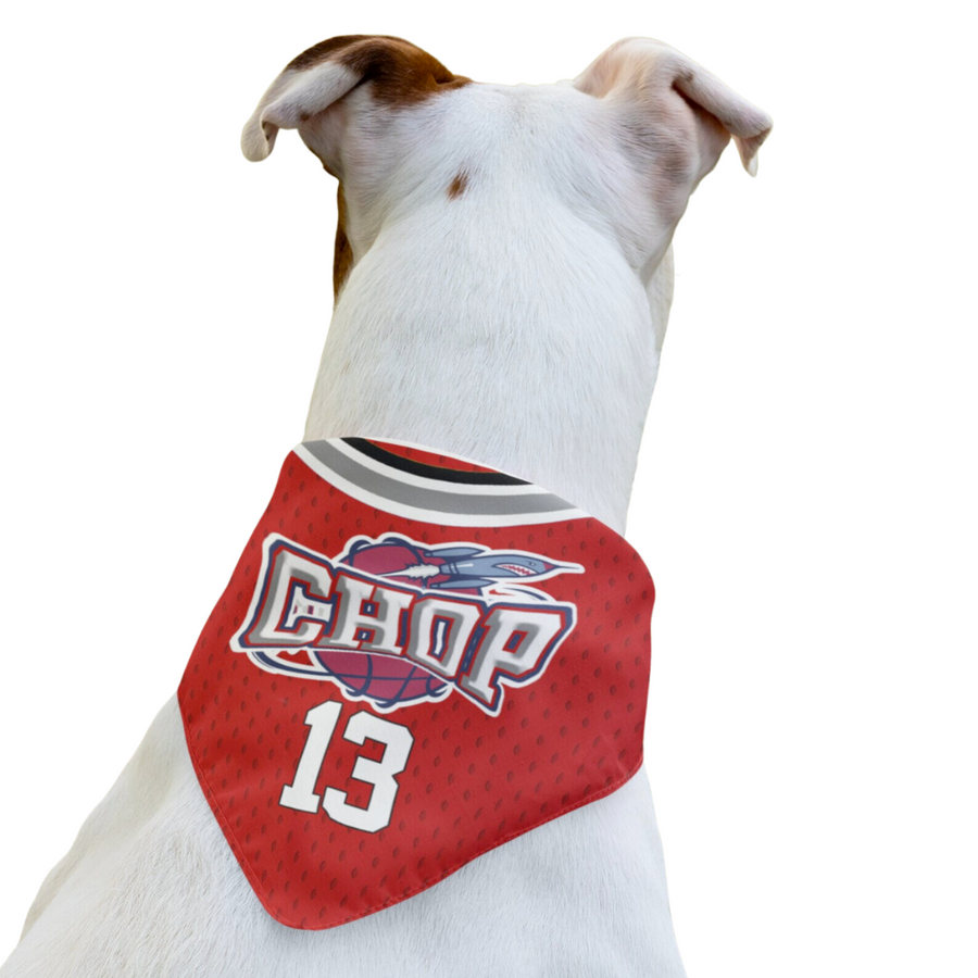 NBA-Inspired Custom Dog Bandana—Outfit Your Pup With Their Very Own Jersey Inspired By Your Favorite Team