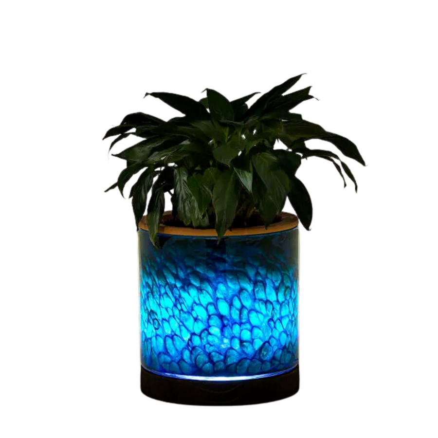 Self-Watering Lamp Planter—This Planter Shines a Light on Your Growing Greenery While Delivering the Perfect Amount of Nourishment