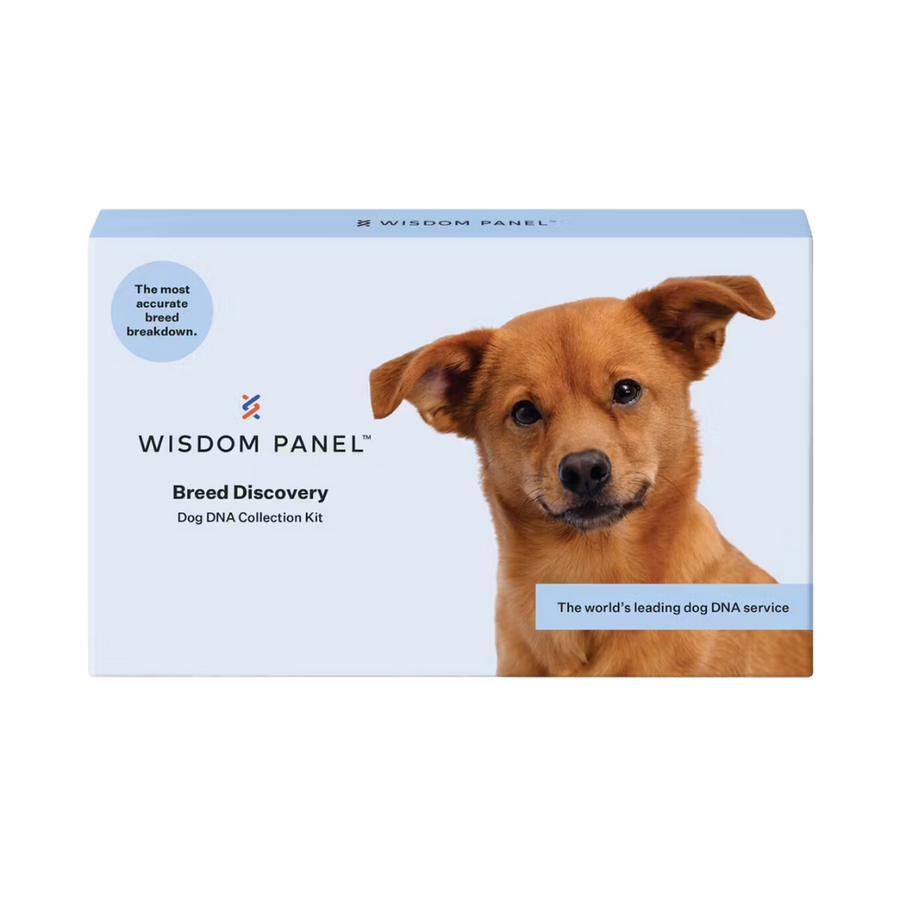 Wisdom Panel™ Dog Breed Discovery Kit—With the Most Accurate Breed Detection System, Widsom Panel GIves You a Full, Price Picture of Your Dog's Breed Mix