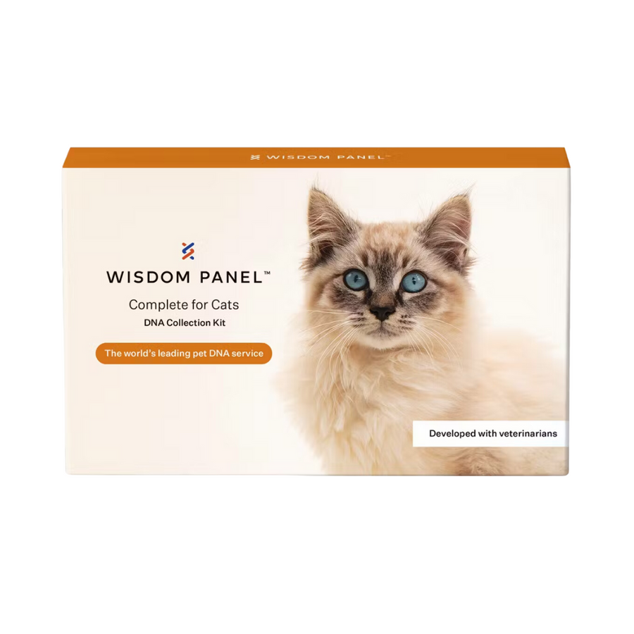 Wisdom Panel™ Complete for Cats—Get Detailed Insights on Your Cat's Breeds and Uncover What Makes Them Tick