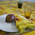 Tutti Frutti Yellow Napkins, Set of 6