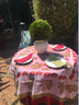 PAIR OUR ORGANZA WITH 110" WHITE, GREEN OR RED ROUND PROVENCE TABLECLOTH