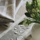 Detail of Coated tablecloth