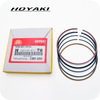 HOYAKI PISTON RING INSTALL GUIDE (HOYAKI 250/300 PISTONS)