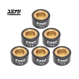 PAYU 15 GR. ROLLER WEIGHT SET (Ø20x12) (6PCS/SET) (AEROX - NMAX - NOUVO125/135) (22123-ARX-015)