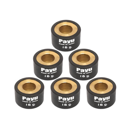 PAYU 16 GR. ROLLER WEIGHT SET (Ø20x12) (6PCS/SET) (22123-ARX-016)