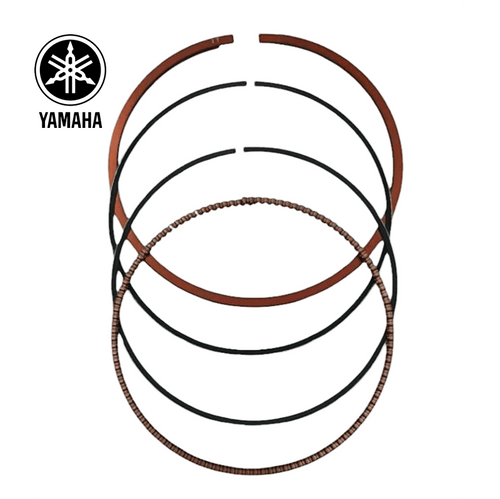 (YAMAHA EVOLIS300 - XMAX300 - TRICITY300) (B74-E1603-10) 