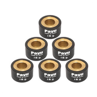 PAYU 16 GR. ROLLER WEIGHT SET (Ø20x12) (6PCS/SET) (22123-ARX-016)