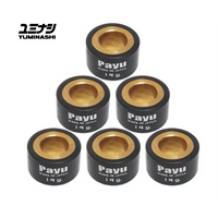 PAYU 14 GR. ROLLER WEIGHT SET (Ø20x12) (6PCS/SET) (AEROX - NMAX - NOUVO125/135) (22123-ARX-014)