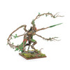Warhammer: Age of Sigmar Sylvaneth Lady of Vines