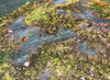 Battle Systems Fantasy Terrain Lakes & Bogs - 28-35mm DND D&D RPG Wargames Historical / Fantasy Card Scenery