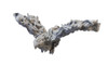 Kings of War: Armada Salamander Fliers Pack