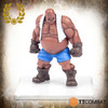Rumbleslam The Heavy Pounders Team